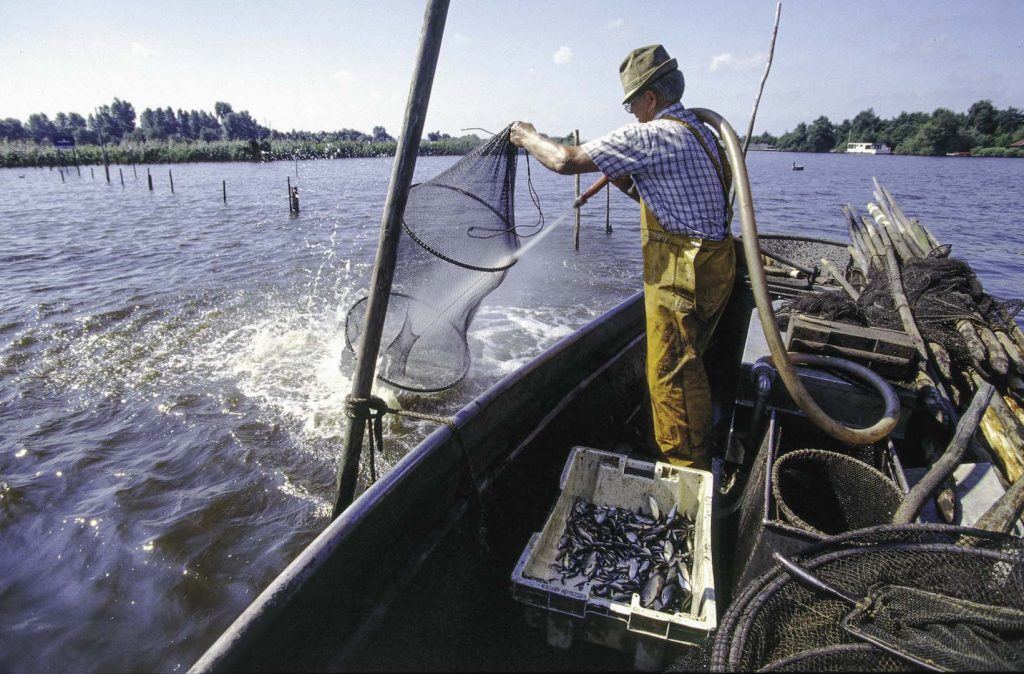 palingvisser-grou-friesland