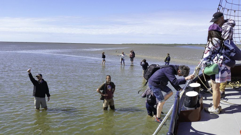 Wadlopen vanaf de Babbelaer