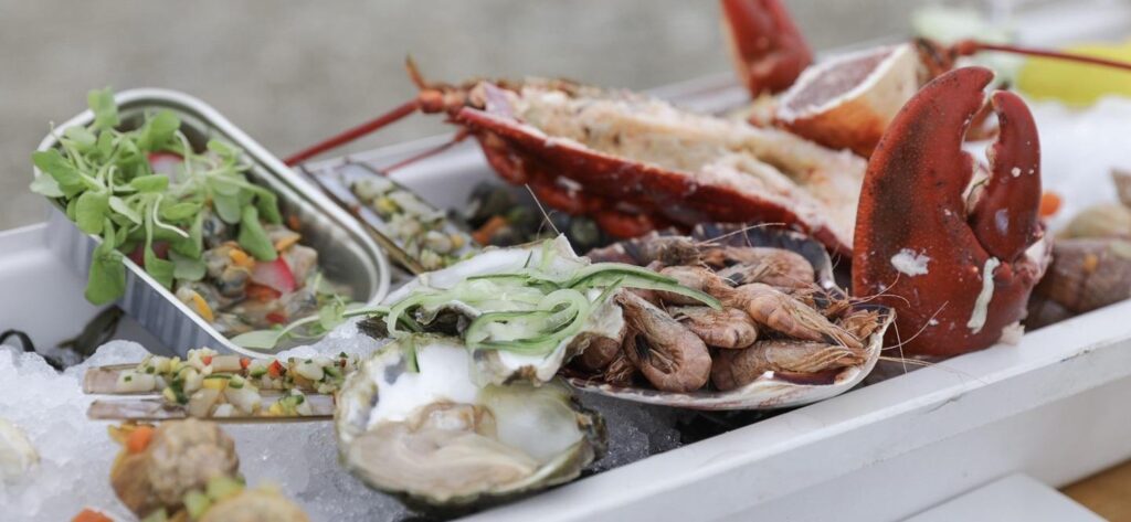 seafood-lunch-zeeland