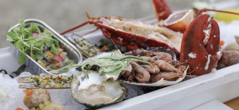 seafood-lunch-zeeland