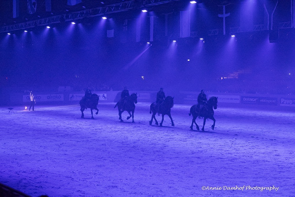 frisian-proms-friese-hengsten-keuring