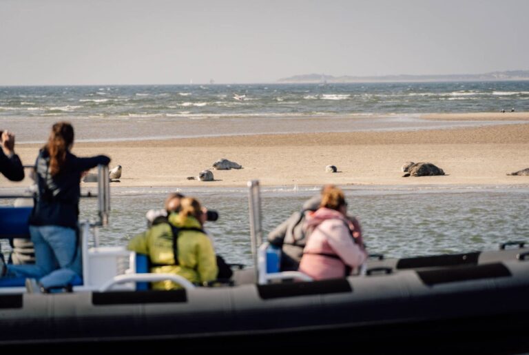 ribvaren zeehonden spotten