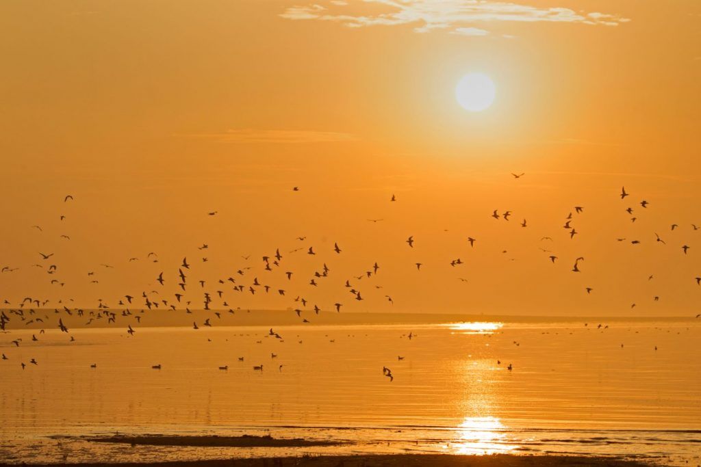 zonsopkomst-wad-schiermonnikoog