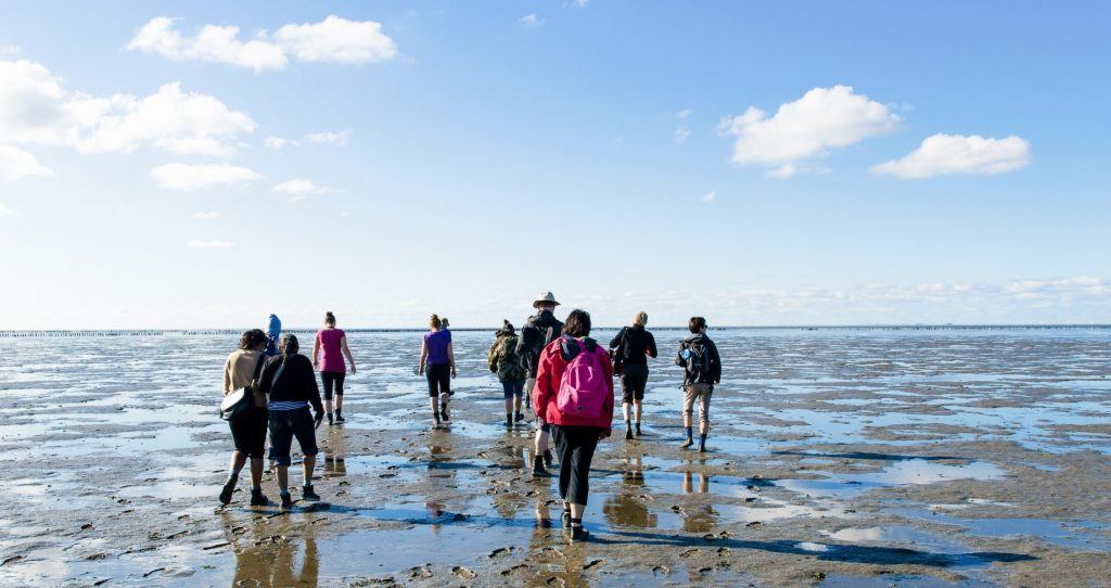 Bedrijfsuitje-wadlopen-naar-ameland
