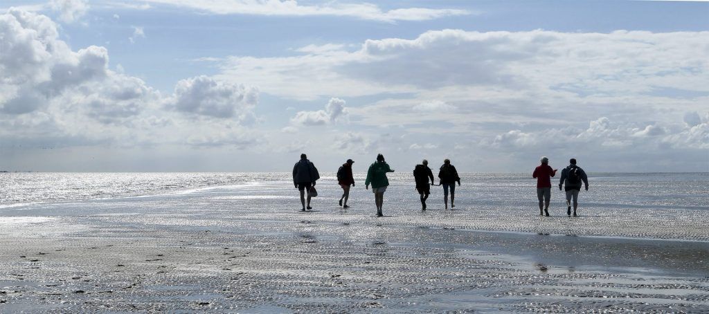 wadlopen-van-lauwersoog-naar-schiermonnikoog