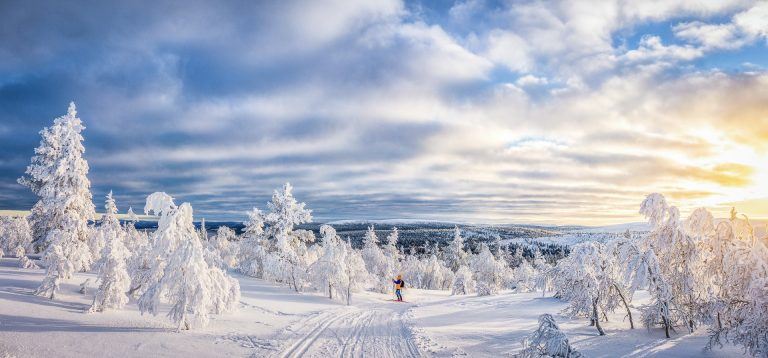 Langlaufen met zonsondergang in Zweden