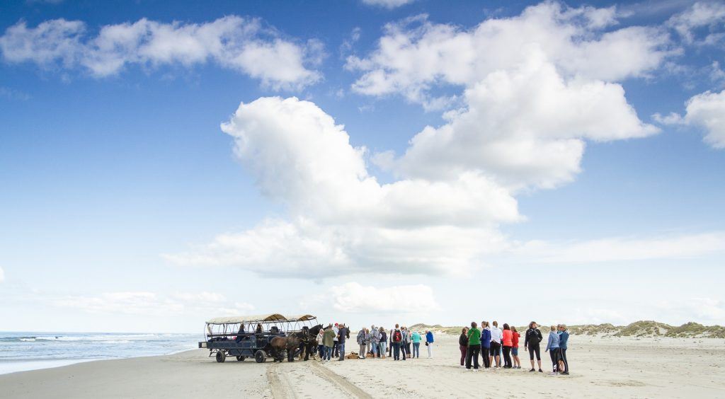 Huifkartocht op het strand van Terschelling