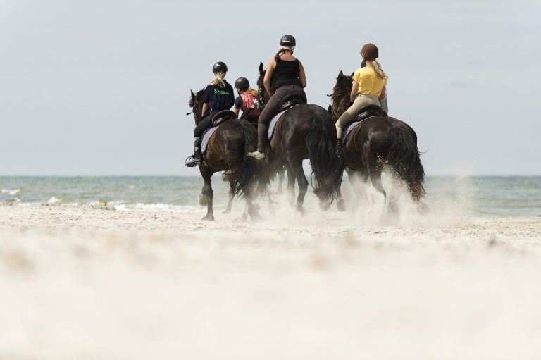 Horseback riding with Friesian Horses on Terschelling 2