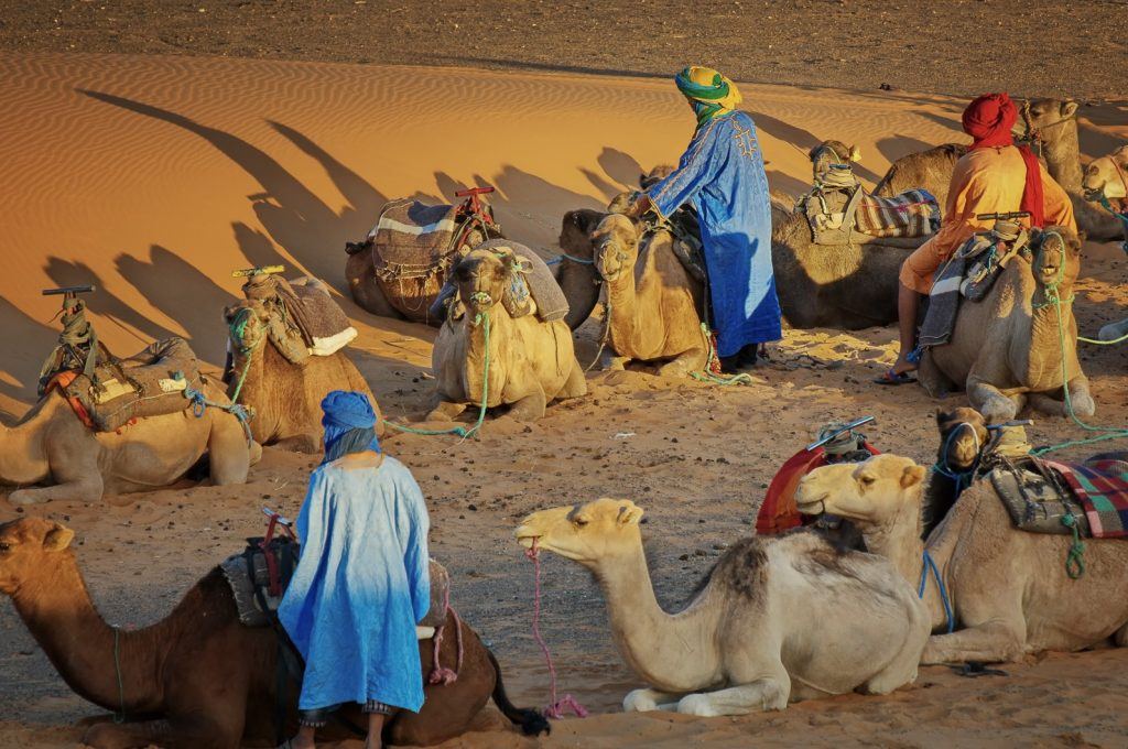 berbers-maken-hun-dromedarissen-klaar-voor-een-tour