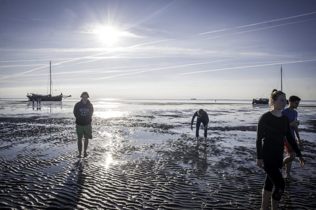 Droogvallen en wadlopen