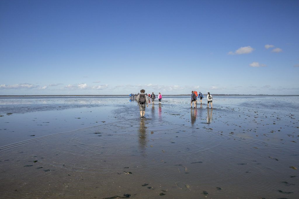 Wadlopen met groep