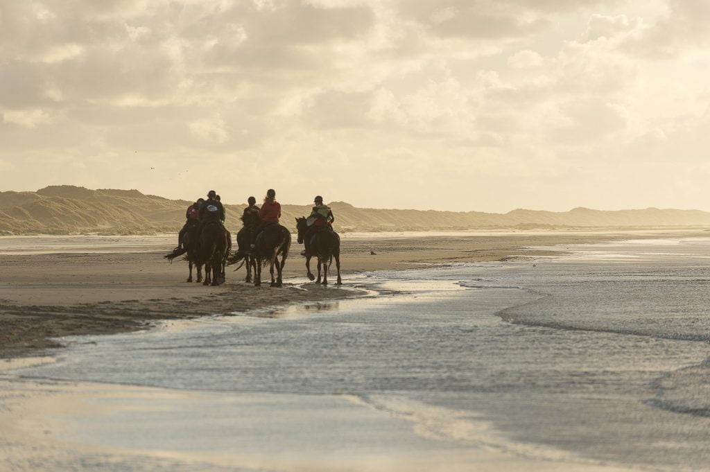 Paardrijden met Friese paarden op het strand