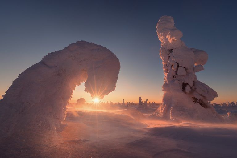 Winterliches Lappland und verschneite Bäume bei Sonnenuntergang