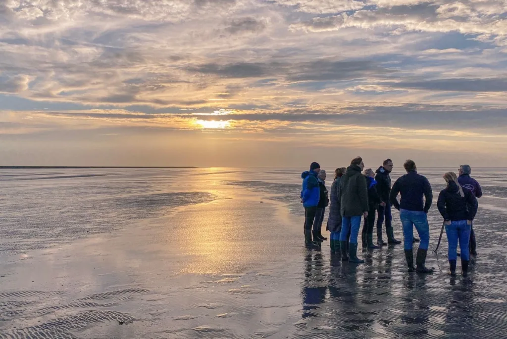 Wadlopen Waddeneilanden groep
