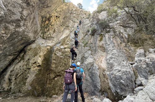 F24A9924-BA8B-42FB-8C4B-72D6447D086E_1_105_c