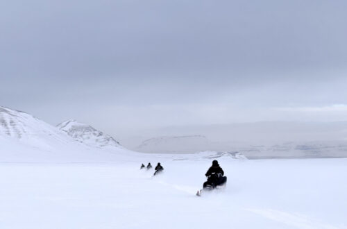 IMG_0688 IMG_0688
