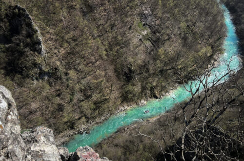 c7a52a91-d00d-40d8-9f2e-4e56ff600b7e (1)-2