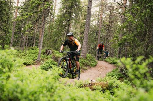 mountainbike-bos-zweden