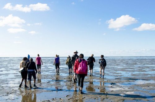 Bedrijfsuitje-wadlopen-naar-ameland